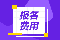 陕西渭南市2021年初级会计职称考试报名费用是多少？